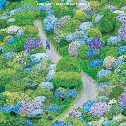 Fiddlehead - Between The Richness vinyl record cover