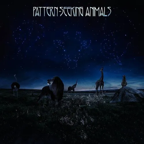 Pattern-Seeking Animals - Pattern-Seeking Animals vinyl record cover