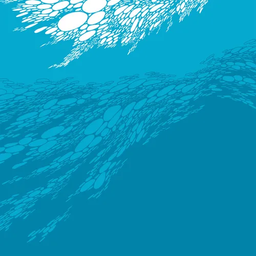 Boris - Flood vinyl record cover