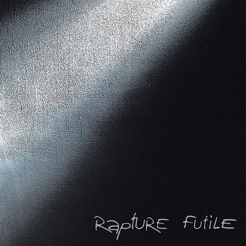 Rapture - Futile vinyl record cover