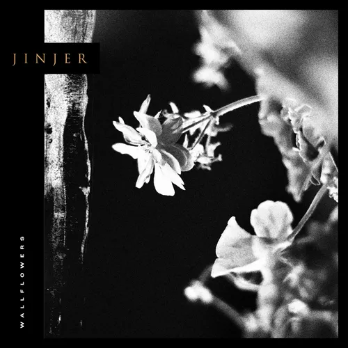 Jinjer - Wallflowers [LP]