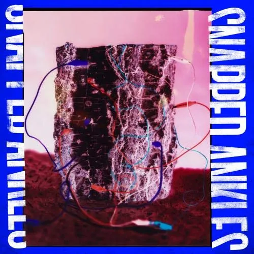 Snapped Ankles - Forest Of Your Problems (The Protester Edition) [Indie Exclusive Limited Edition Forest Floor Recycled LP]