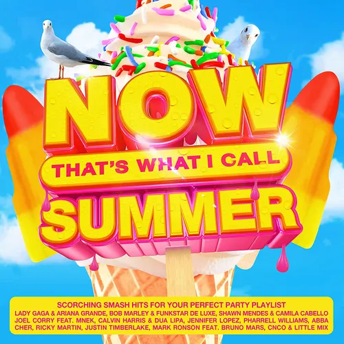 Now That's What I Call Music! - Now That's What I Call Summer [Import]