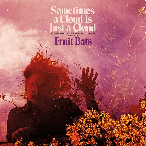 Fruit Bats - Sometimes a Cloud Is Just a Cloud: Slow Growers, Sleeper Hits and Lost Songs (2001–2021) [Indie Exclusive Deluxe 2LP]