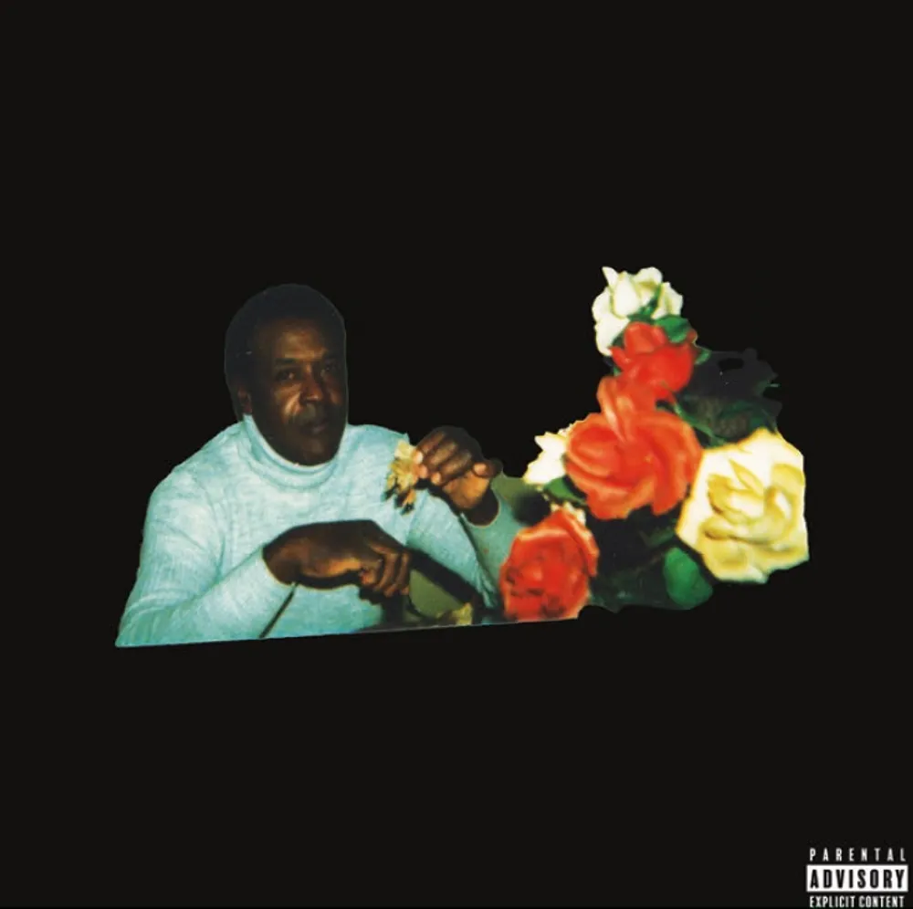 Vince Staples - Ramona Park Broke My Heart (alternate Cover)