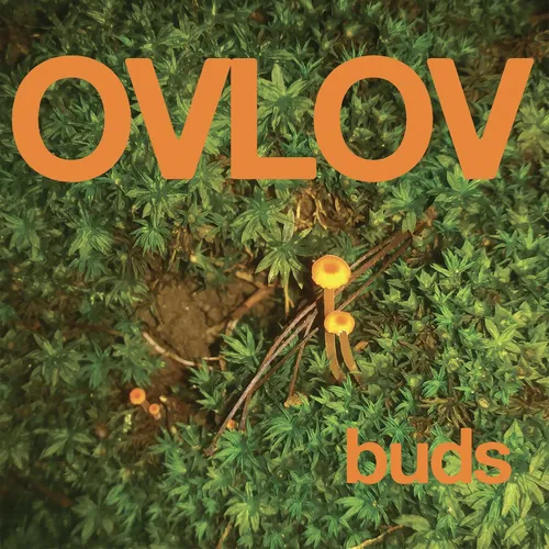 Ovlov - Buds [Colored Vinyl] [Indie Exclusive]