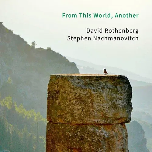 David Rothenberg - From This World Another