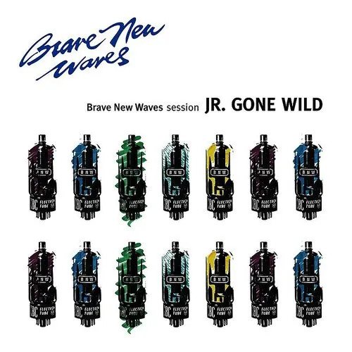 Jr Gone Wild - Brave New Waves Session vinyl record cover