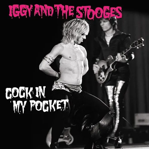 Iggy and The Stooges - Cock In My Pocket