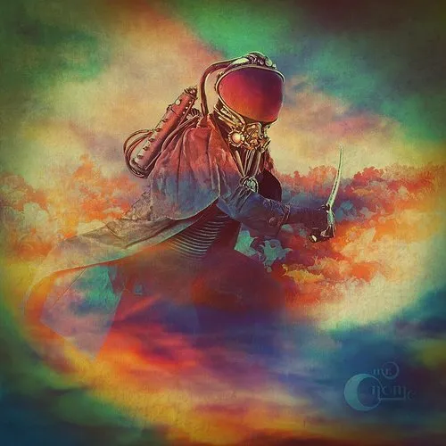 Mr Gnome - The Day You Flew Away vinyl record cover