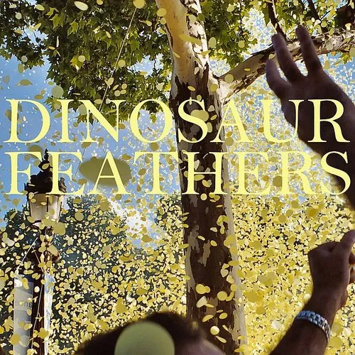 Dinosaur Feathers - Whistle Tips vinyl record cover