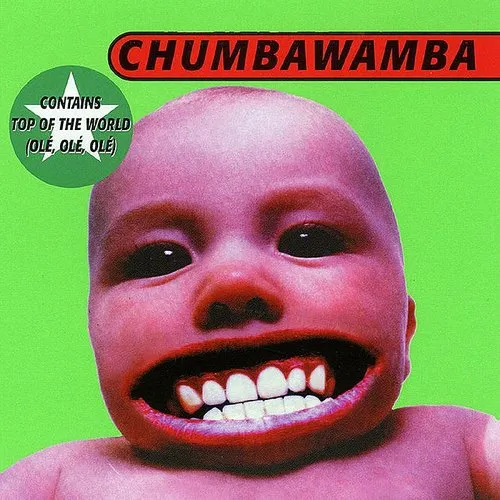 Chumbawamba - Tubthumper vinyl record cover