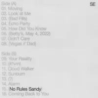 Sylvan Esso - No Rules Sandy [Indie Exclusive Limited Edition Tiger's Eye LP]