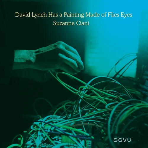SSVU - David Lynch Has a Painting Made of Flies Eyes / Suzanne Ciani vinyl record cover