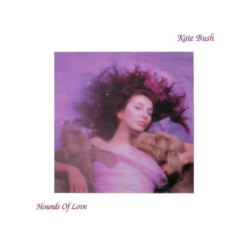 Kate Bush - Hounds of Love vinyl record cover
