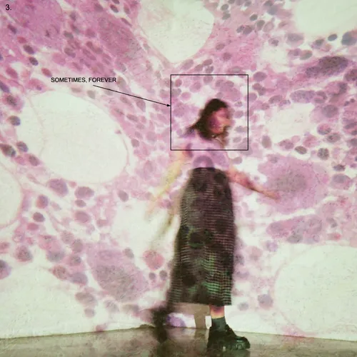 Soccer Mommy - Sometimes, Forever [Limited Edition Orchid LP]