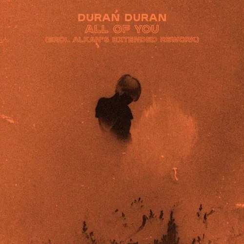 Duran Duran - All Of You (Erol Alkan's Extended Rework) [Import LP]