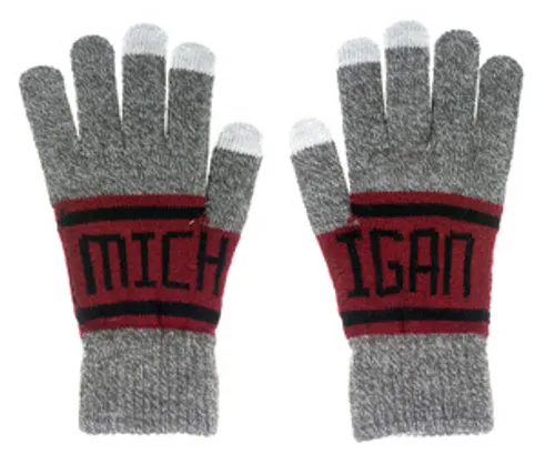 Detroit - Michigan Gray/Red Banner Gloves