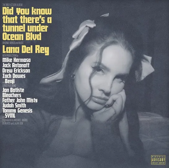 Vinyl- Lana Del Rey- did you know there’s a tunnel under ocean blvd
