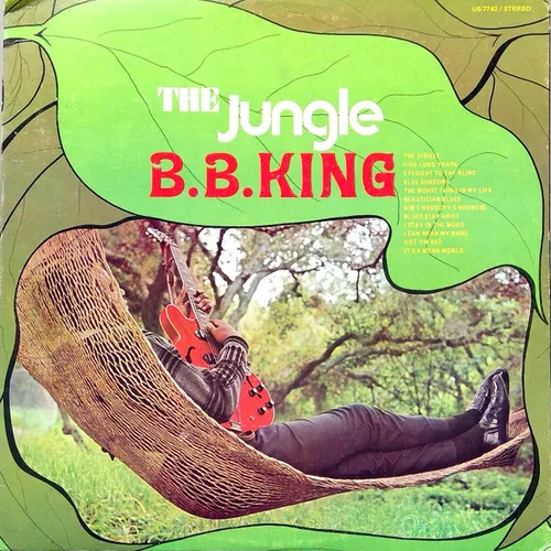 B.B. King - The Jungle