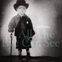Joe Henry - All The Eye Can See [2LP]