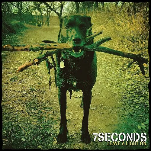 7seconds - Leave a Light on vinyl record cover