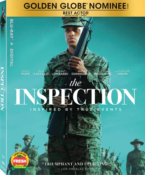 The Inspection [Movie] - The Inspection