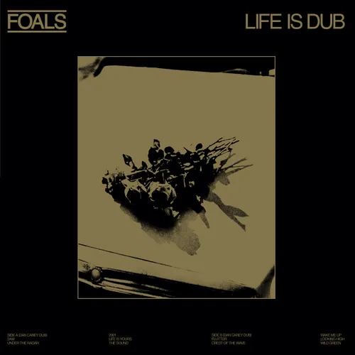 Foals - Life Is Dub vinyl record cover