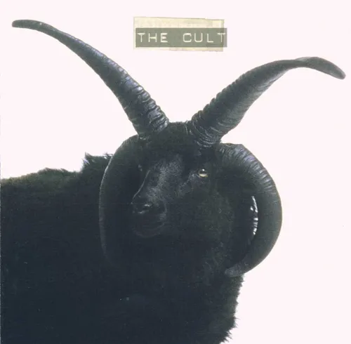 Cult - Cult (Iex)