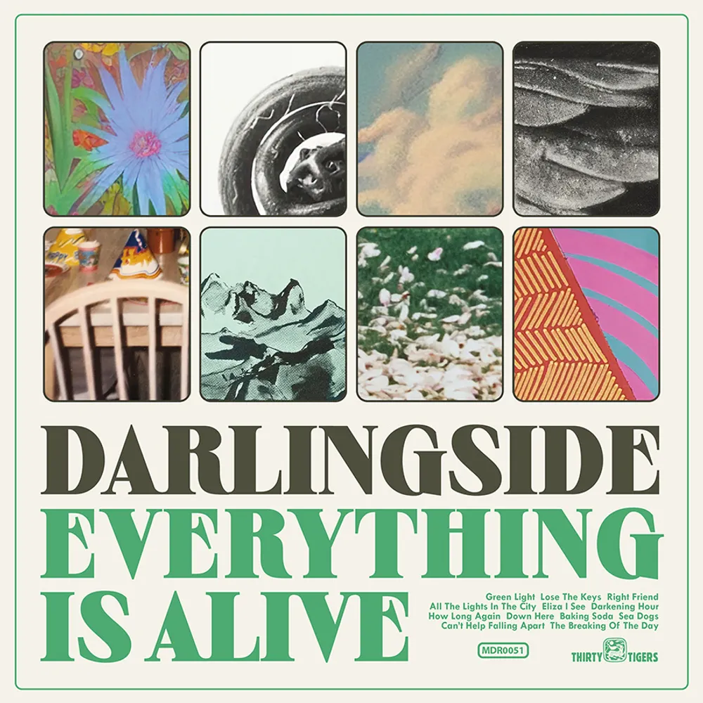 Darlingside - Everything Is Alive [LP]