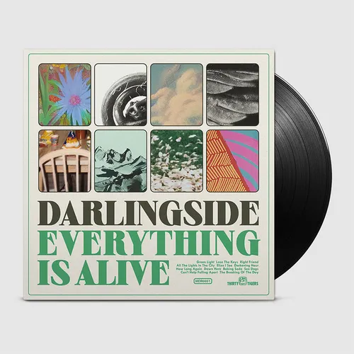 Darlingside - Everything Is Alive [LP]