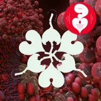 the fossora remixes