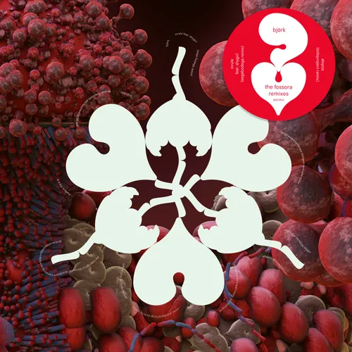 Bjork - the fossora remixes vinyl record cover