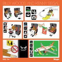 Billy Woods - Maps [Orange LP]