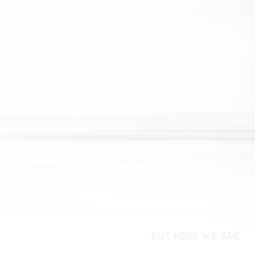 Foo Fighters - But Here We Are [LP]