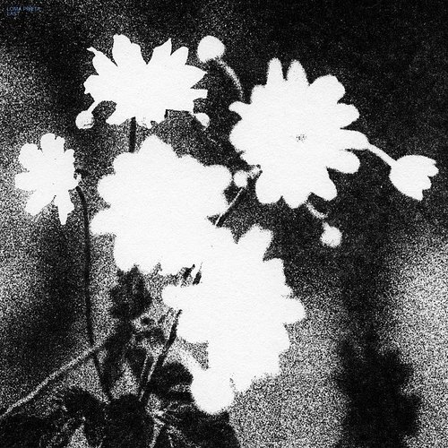 Loma Prieta - Last [Indie Exclusive Limited Edition Black/White Cornetto LP]