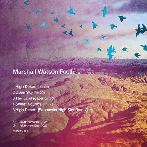 Marshall Watson - Foothills EP [Vinyl]