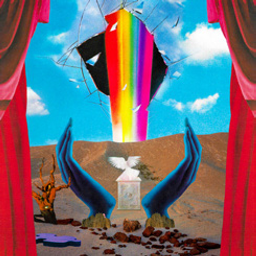 Teenage Wrist - Still Love [LP]