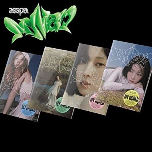 30周年　Blessing / SUBURBIA ベストコンピ　LPレコード Boro – A Little Best Songs (LP) | Underground Gallery Record