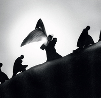 James Blake - Playing Robots Into Heaven [LP]