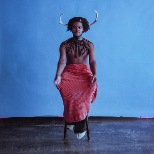 Shamir - Heterosexuality [LP]