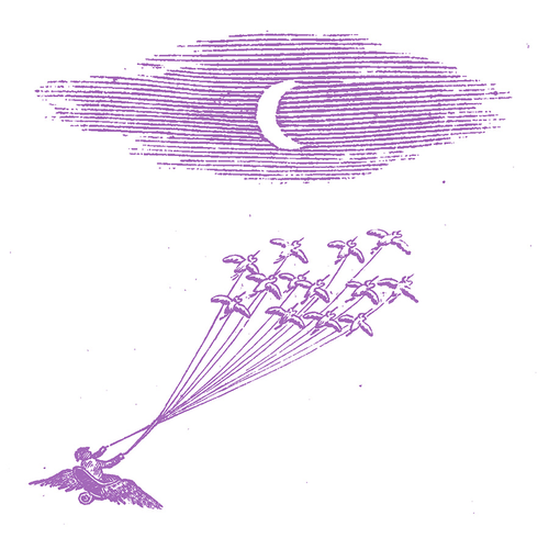 Feeling Figures - Migration Music [LP]