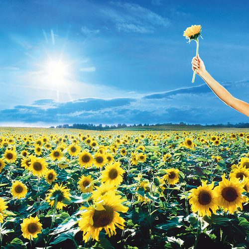 Stone Temple Pilots - Thank You [Rocktober 2023 Opaque Sky Blue LP]