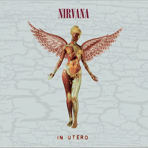 Nirvana - In Utero 30th [2CD] | antonesrecordshop