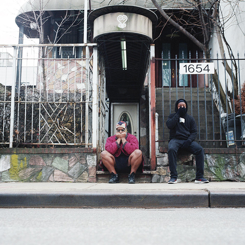 Armand Hammer - We Buy Diabetic Test Strips [Limited Edition Grape 2LP]