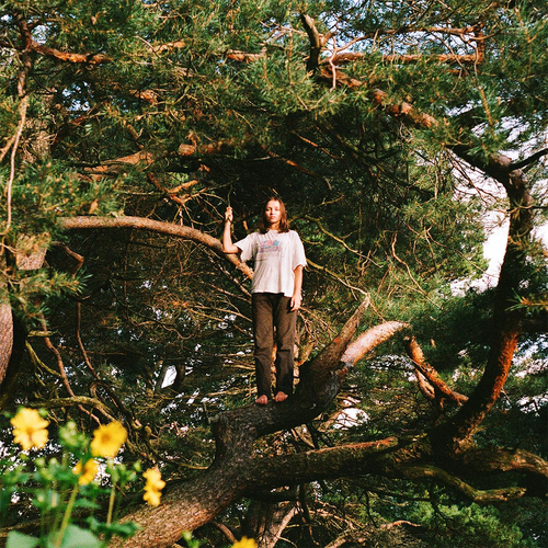 Packs - Melt The Honey [Gold LP]