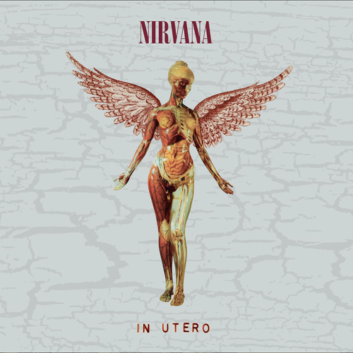 Nirvana - In Utero 30th [Super Deluxe Edition 5CD]