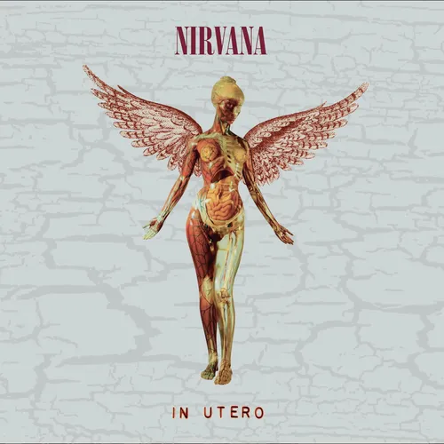 Nirvana - In Utero 30th [Super Deluxe Edition 8LP]