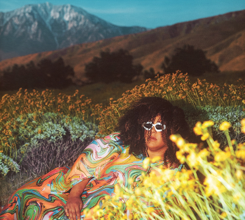 Brittany Howard - What Now