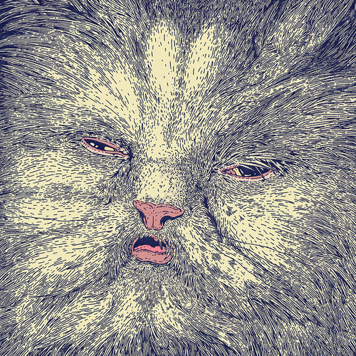 Corridor - Mimi [Pink LP]